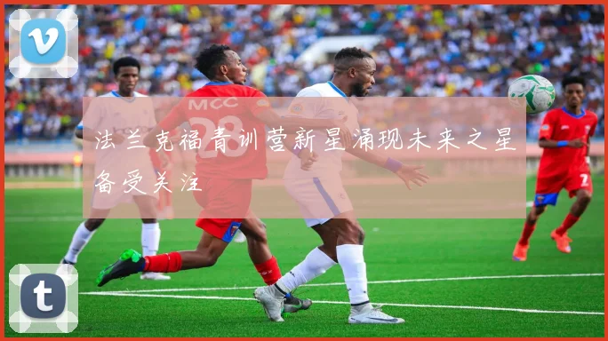 法兰克福青训营新星涌现未来之星备受关注